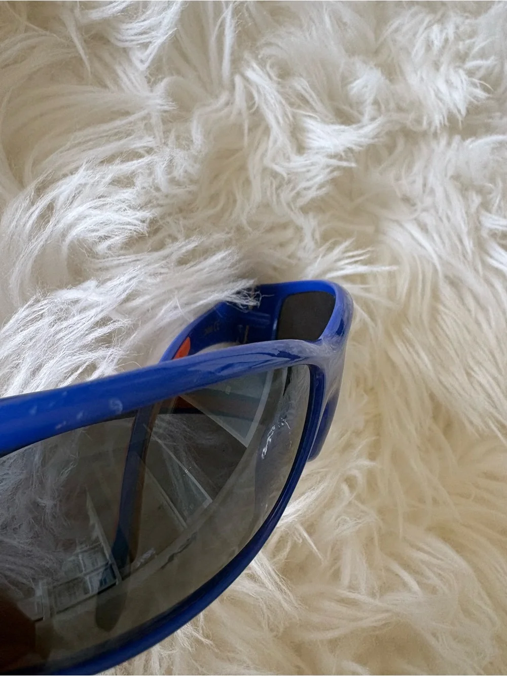 Florida Gator sunglasses with Case